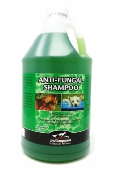 First Companion Anti-Fungal Shampoo Gallon