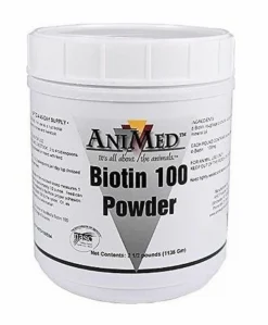 Biotin 100 Powder 2.5lbs