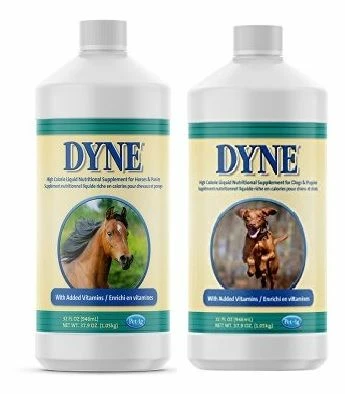 Dyne 16oz 1 Dyne 16oz