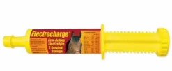 Electrocharge Paste 60cc