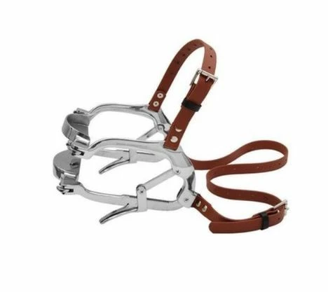 Millennium Equine Speculum 1 Millennium Equine Speculum