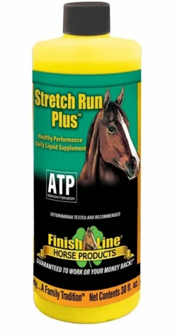 Stretch Run Plus 30oz