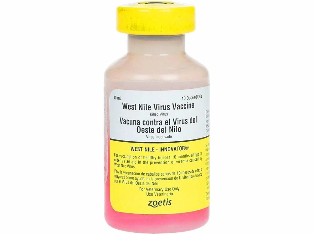 West Nile Innovator 10 Dose Vial 1 West Nile Innovator 10 Dose Vial